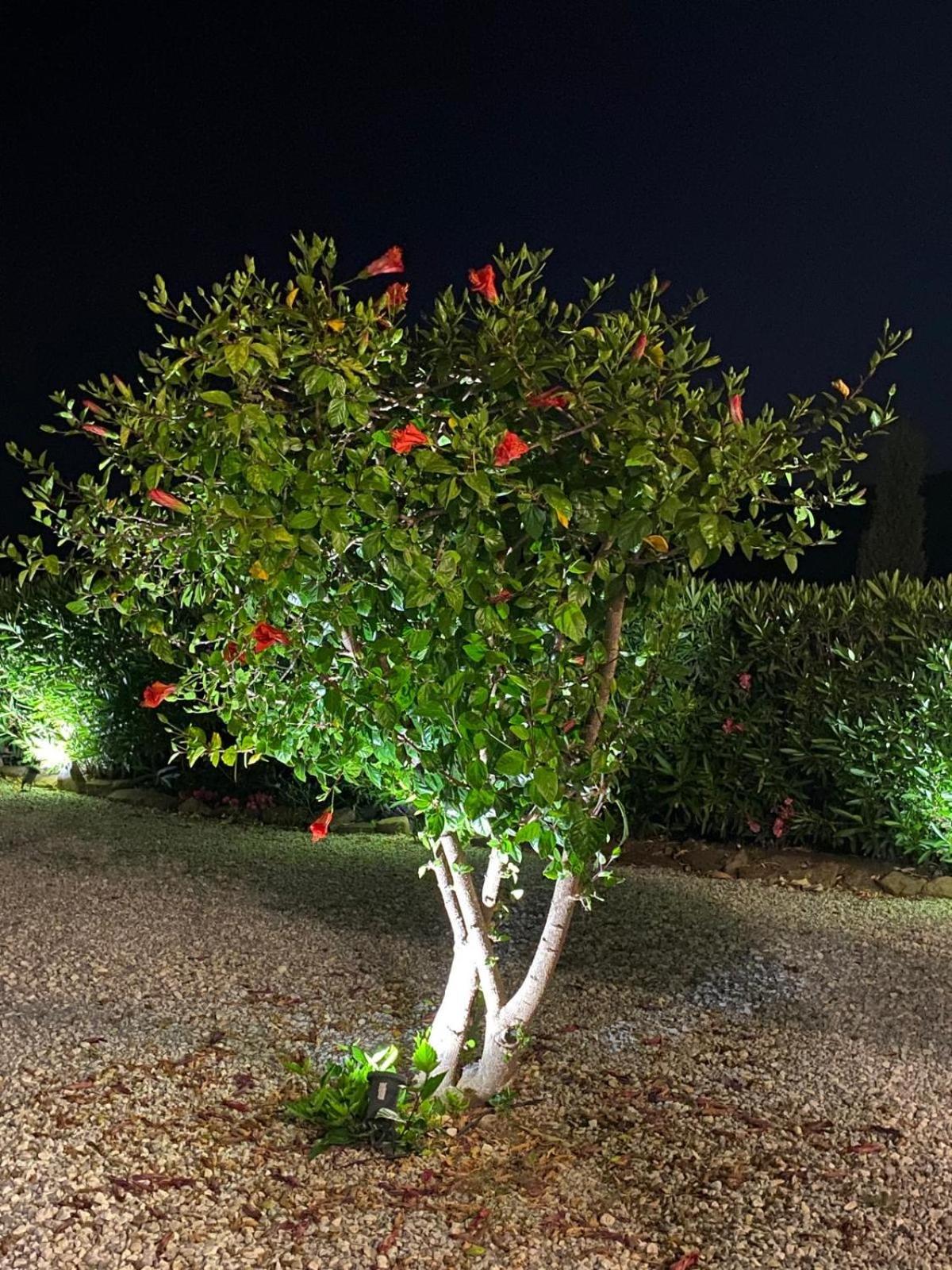 Finca Angelita Torrox Eksteriør billede