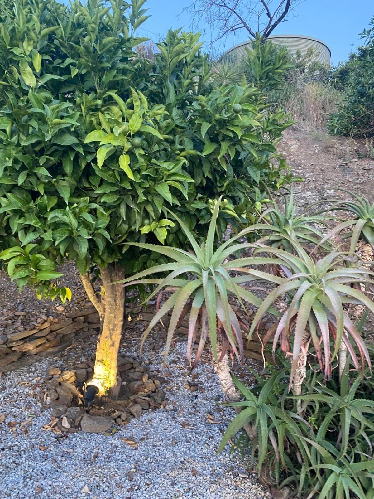 Finca Angelita Torrox Eksteriør billede